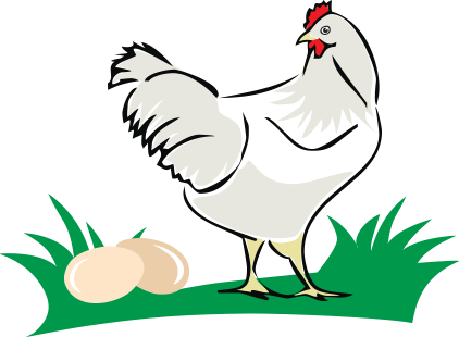 Eier und Hühner vom Hof Brüggemann
