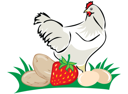 Eier und Hühner  vom Hof Brüggemann